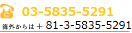 03-5835-5291